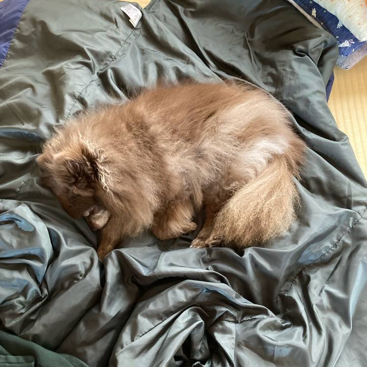 96b0e8af 7eff 4772 90e6 411059d067d0 1645592300220