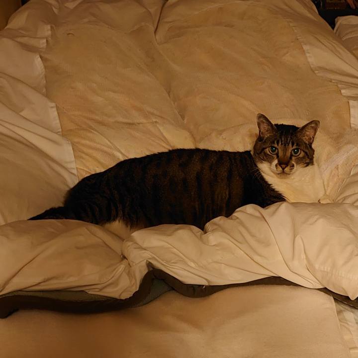 96b1436d 9eaa 4127 8e8a 89837e0bf706 1643807452760