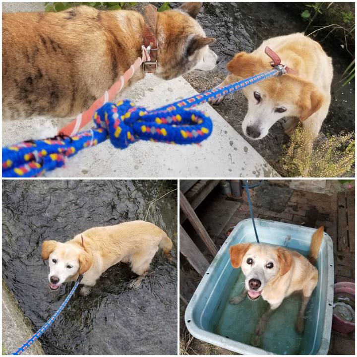 96b1a2d1 2f0a 4c32 9cc9 60ade3ff5d1d 1754562033172