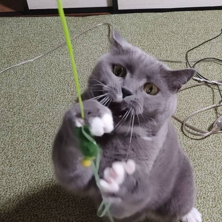 96b1da75 6fe9 4c65 a818 eb7580826bf7 1658141607281