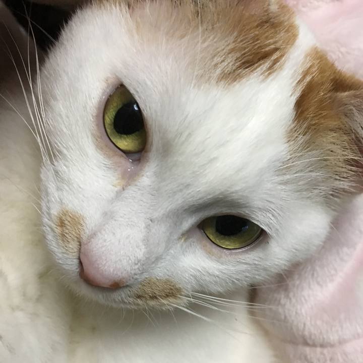 96b1f4d0 2d01 49db b2e0 bcf78d4301d6 1552129158105