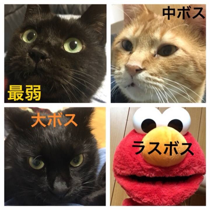 96b1fc87 17d2 4cb0 9ab9 cf5858684245 1613874780264