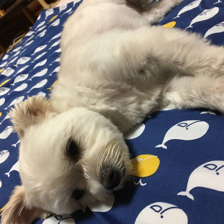 96b1fd0d 1efb 46e3 addc 017ad0187a86 1531739281532