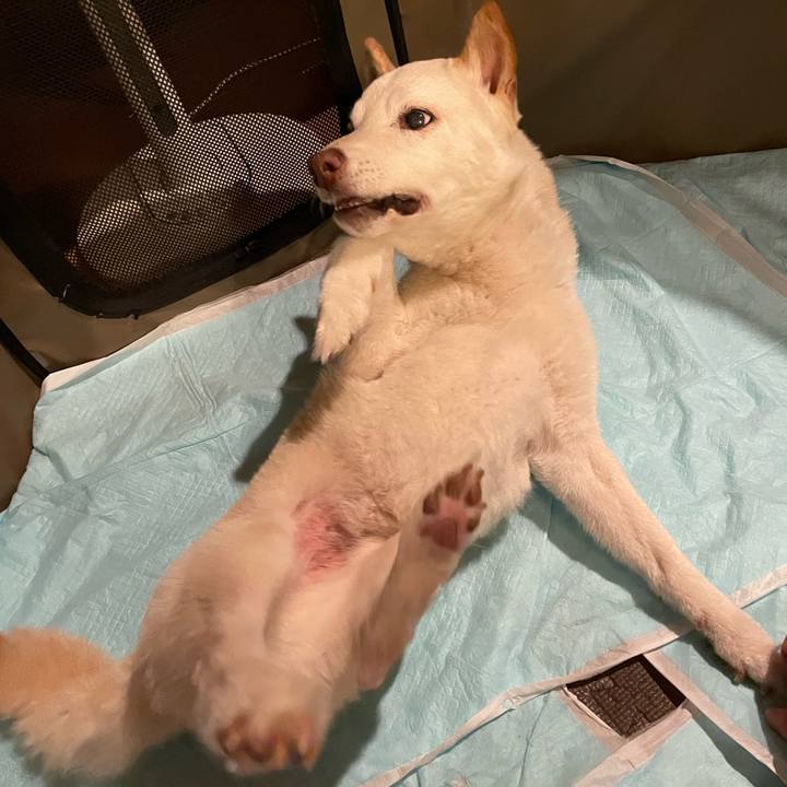 96b216c2 21f8 4438 a538 8c632284875e 1656856216015