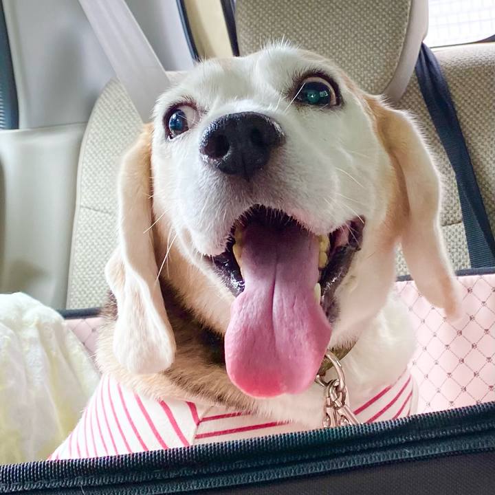 96b221c7 545e 49ca 8f92 a9c2b243ee26 1657599991690