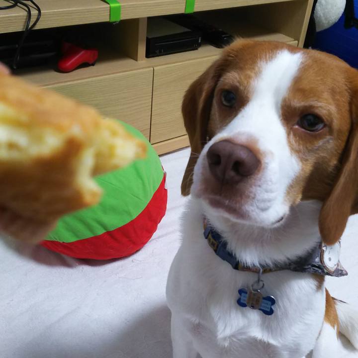 96b24c19 f15e 499b 8fb5 4c37e12c3177 1592134428084