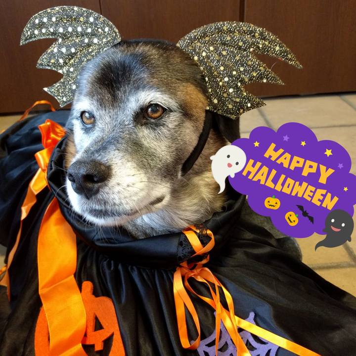 96b29311 3529 4285 9dfe 662a175bccf7 1667177121142