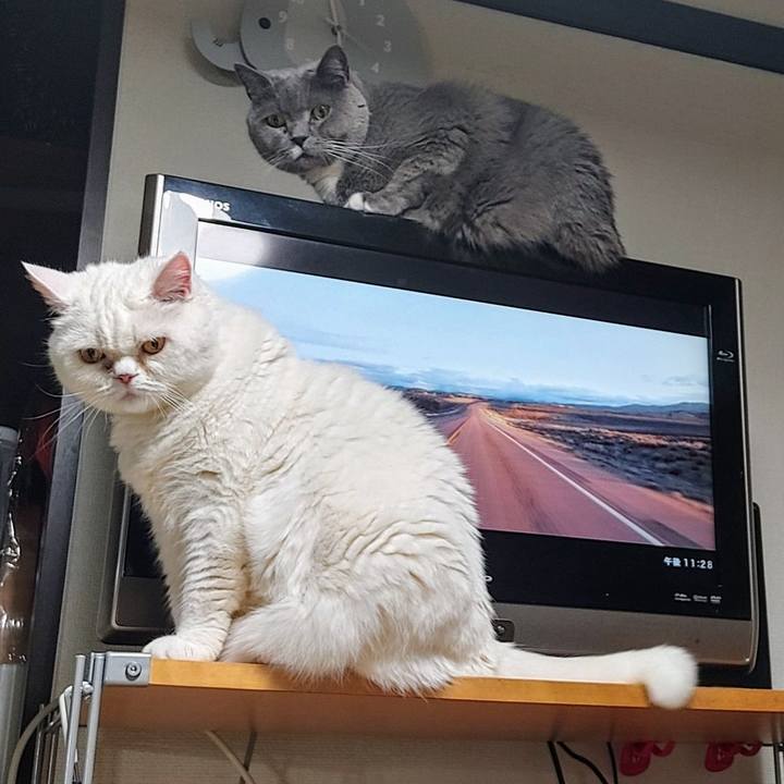 96b2999b 880e 4d93 ba28 f0c870bfbae9 1744468348417