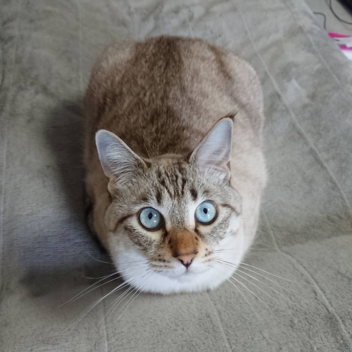 96b2af71 1cc1 4677 834b 424565f7a3e6 1574569566039