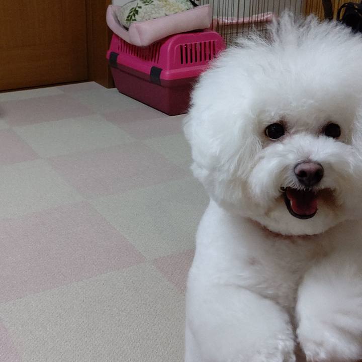 96b2cba0 7707 4455 a860 219c8713fe36 1580209494501