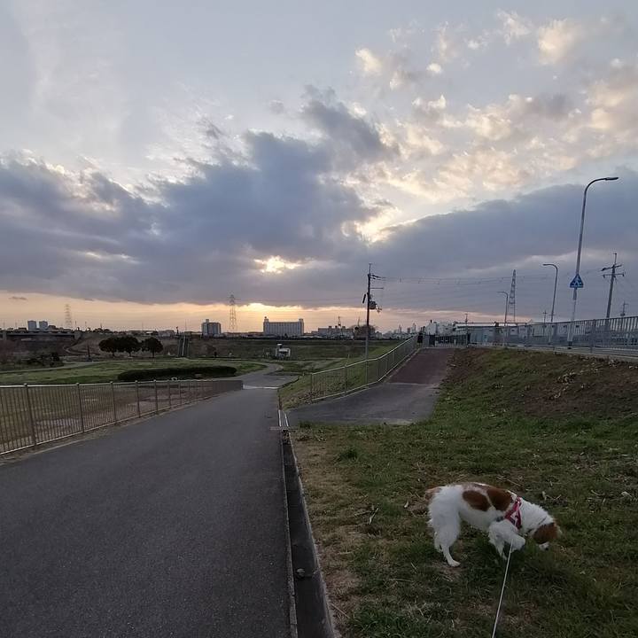 96b3233a fdfb 4207 a5fb e87421757adb 1582716821483