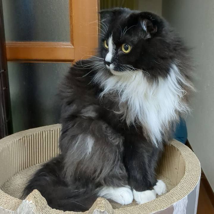 96b32bc3 013a 441d 8908 12b4c6223bff 1673785646457