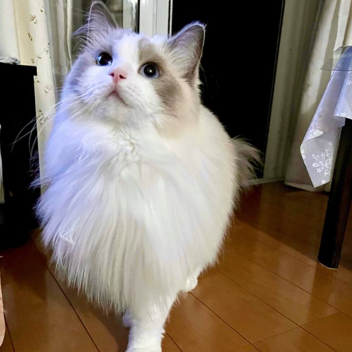 96b3586b 82bd 4226 96b8 74900957d3c6 1664798325090