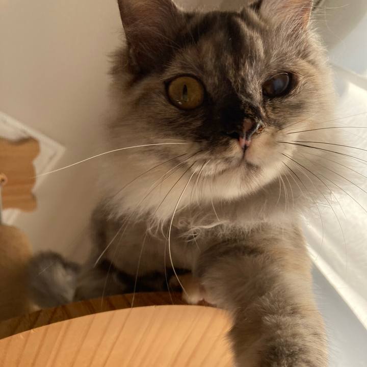 96b35fed d69a 4e2c 985d 4fa3816aa96a 1709419712187