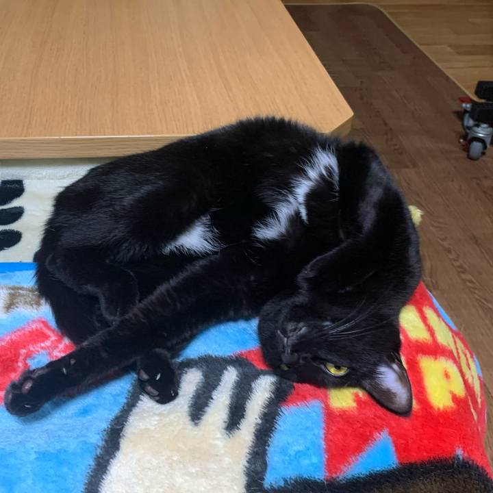 96b37262 0e57 48fc 837f bcb7110a79f2 1575637955022