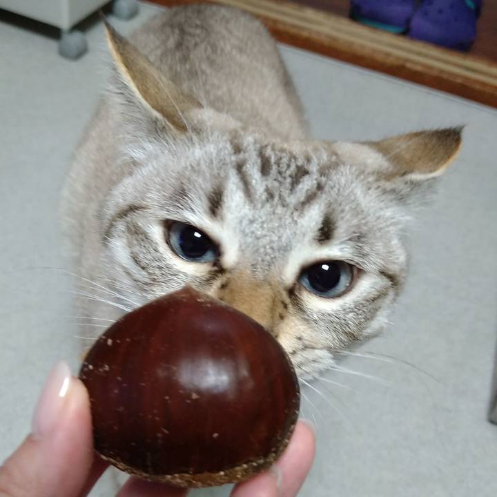 96b373f7 9986 439c ad5f b201db35b505 1636720326383