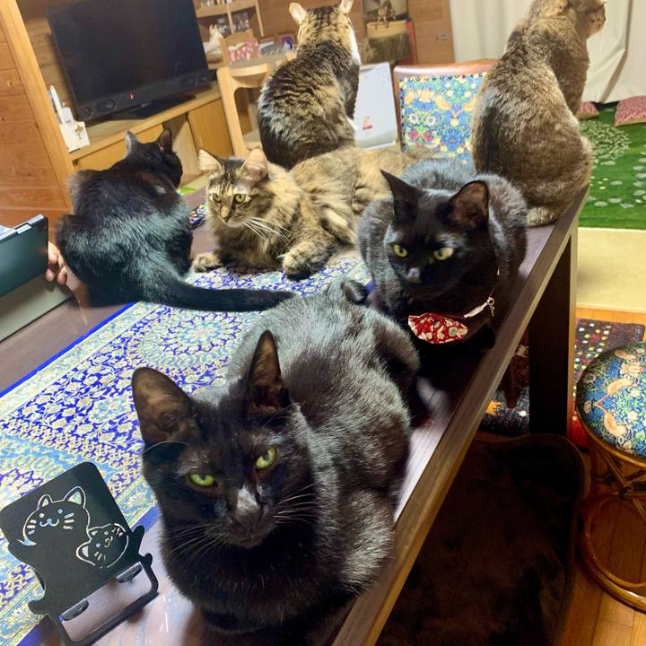 96b38122 5016 4b5b be59 1411e6f1a0f7 1668257231197