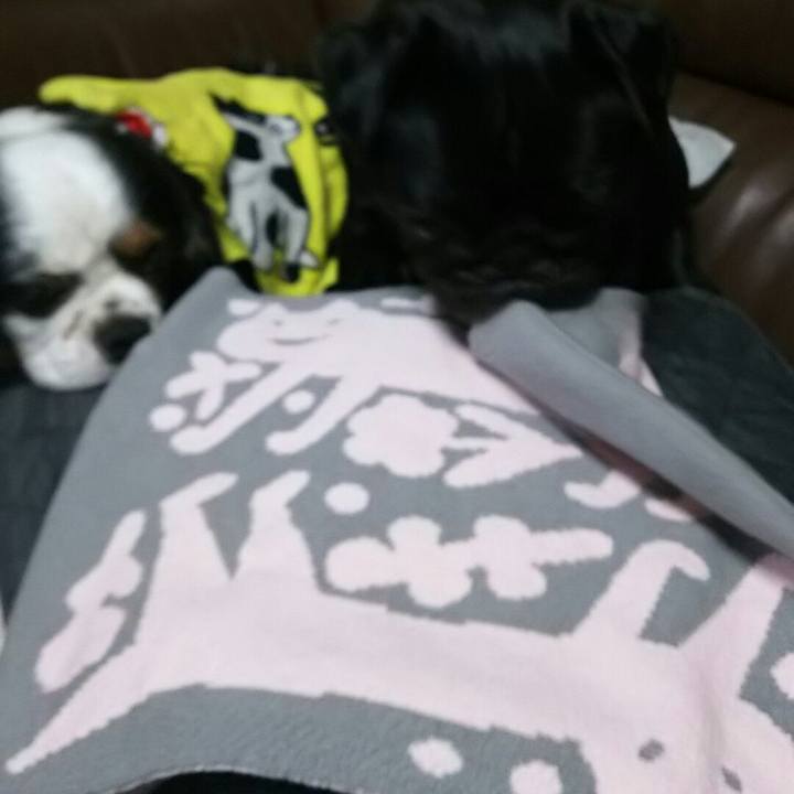 96b3a260 b538 4327 9b80 6686dac8d4a4 1538658138985