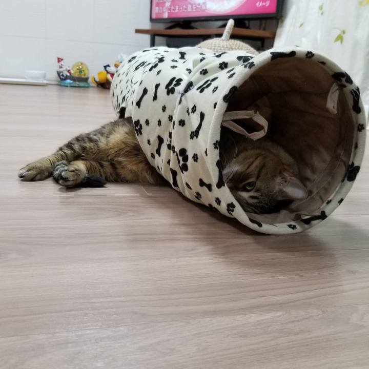 96b3c9e9 313e 4175 8158 fc6d7845d713 1552212942881