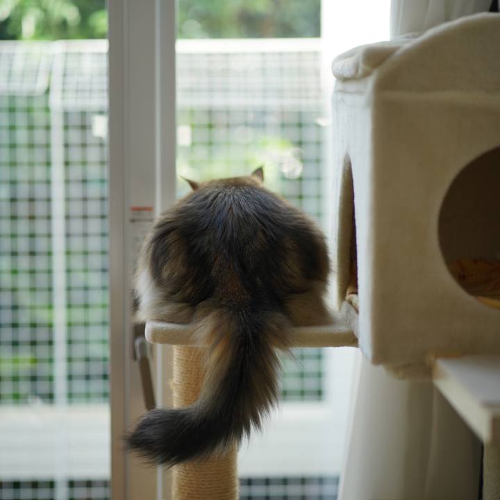 96b3d04b bcde 4810 9661 96292689ee8e 1700702279662