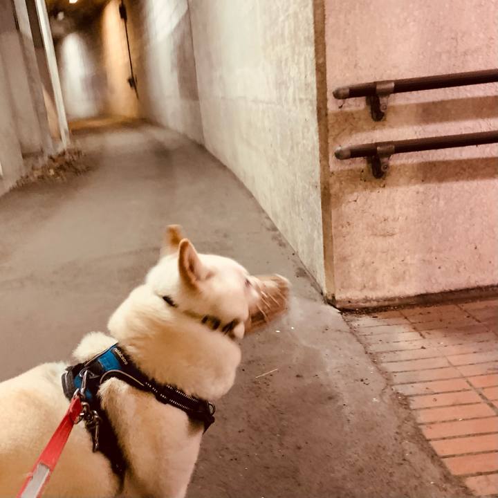 96b3d419 cc76 44a5 8109 71a9ed1ac1c8 1631136617440