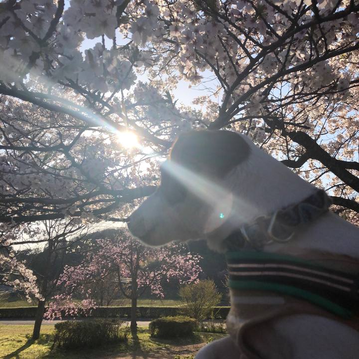 96b3f824 aa97 4bbc 812b 41ca22b66ade 1554888635190