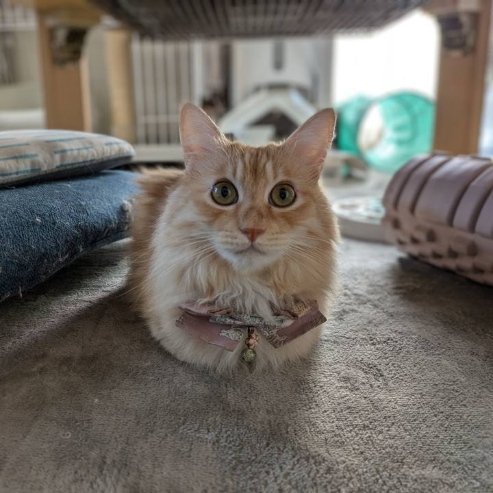 96b437a4 5f77 4984 b155 0cbbf22a515f 1728956503289