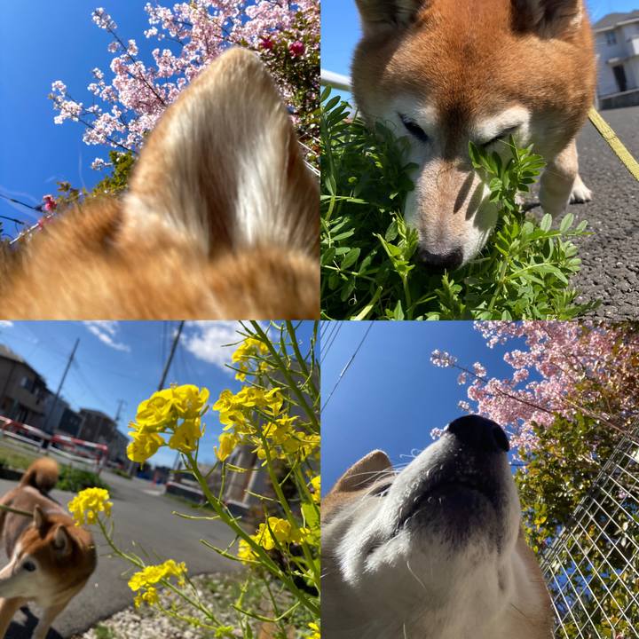 96b45524 7c22 4d24 a227 e78dabecade0 1709956575382