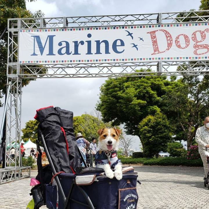 96b46dc8 b180 4df8 bbad 7b1469208255 1555812001589