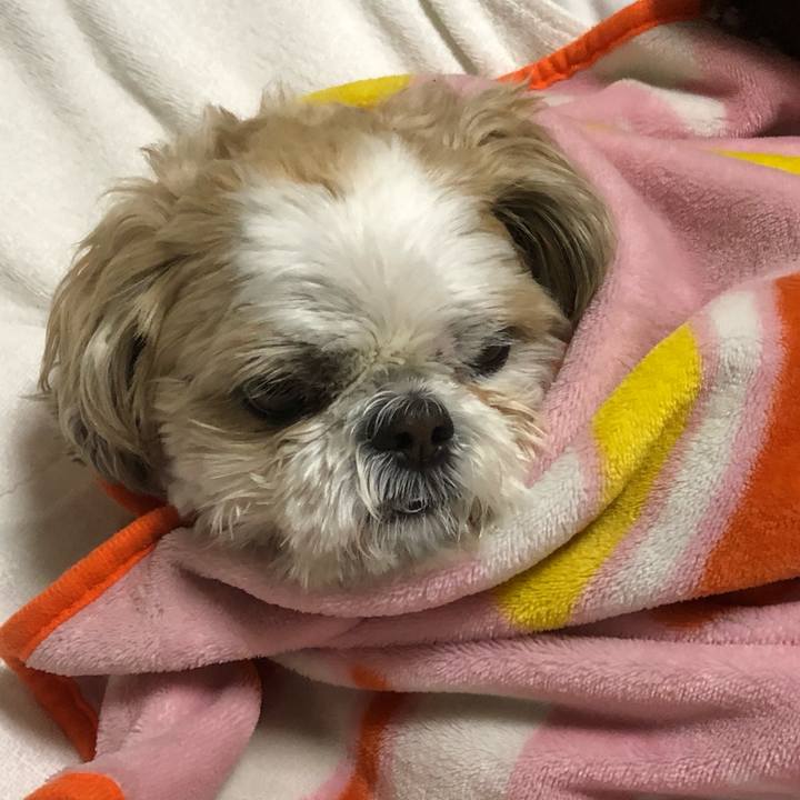 96b49dfc 1856 4b75 a38f 6aad238c561e 1587678496127