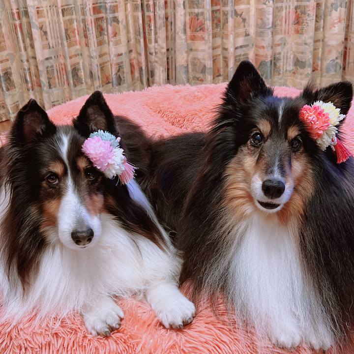 96b4a621 2c21 42ec 891c 58d932d2ef19 1676749869911