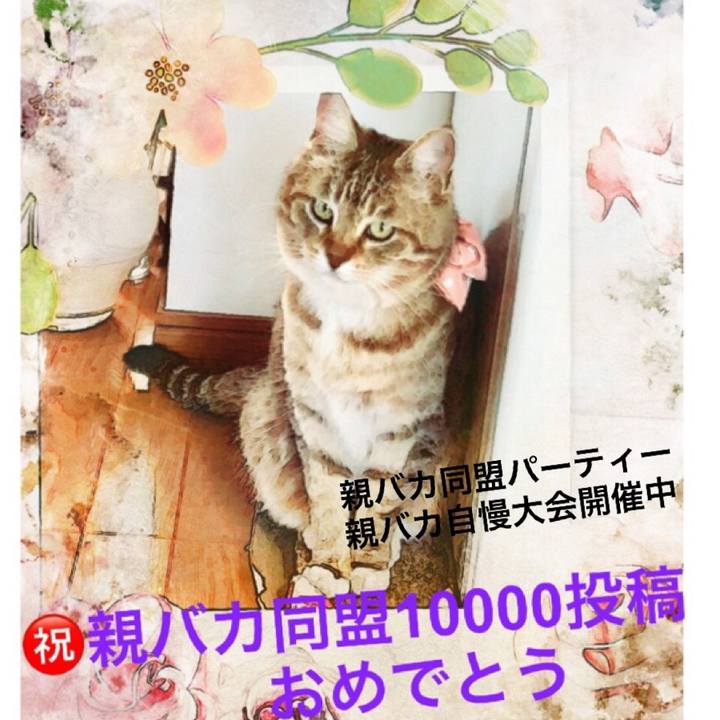 96b4edf6 6e3c 49a4 9043 00ba3cac4513 1535189606550