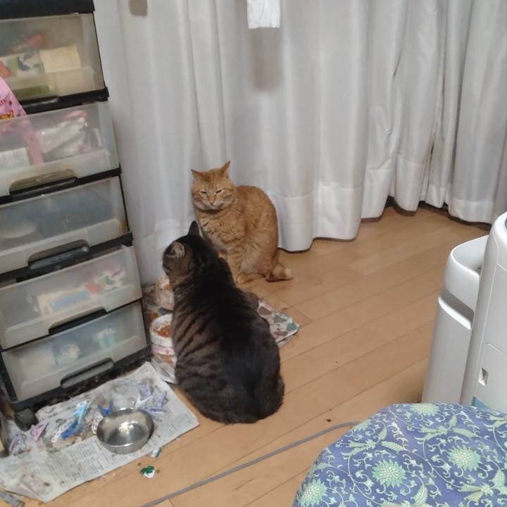 96b514f6 32eb 49eb 8749 48ffe3988b1b 1708841902502