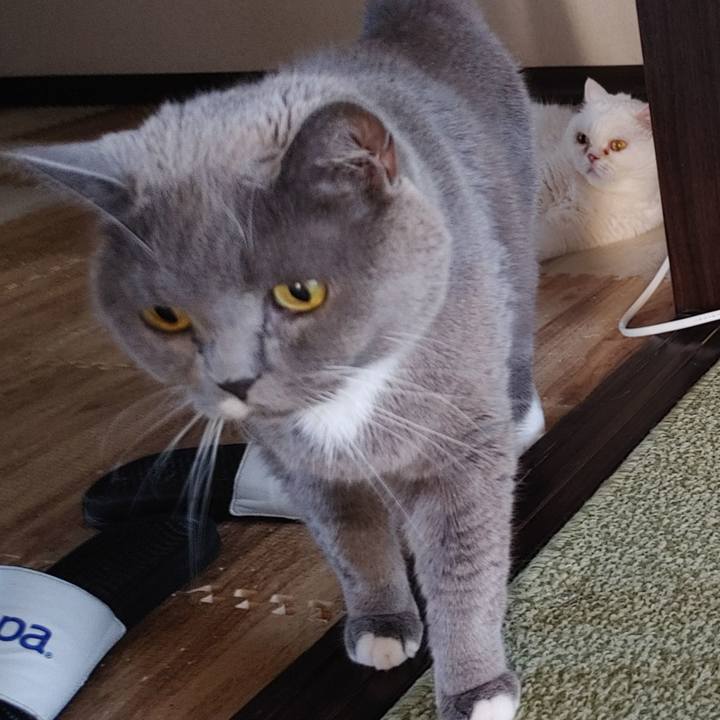 96b5665a 2b8c 4590 b860 2168284cab05 1726829237098