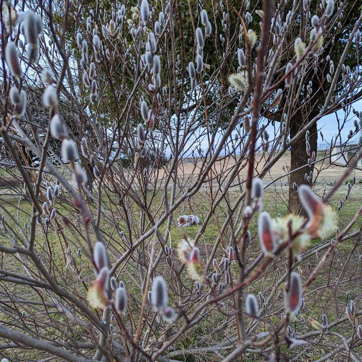 96b56b7e 1b10 4c95 ace3 cfbed85c34fd 1677923196942