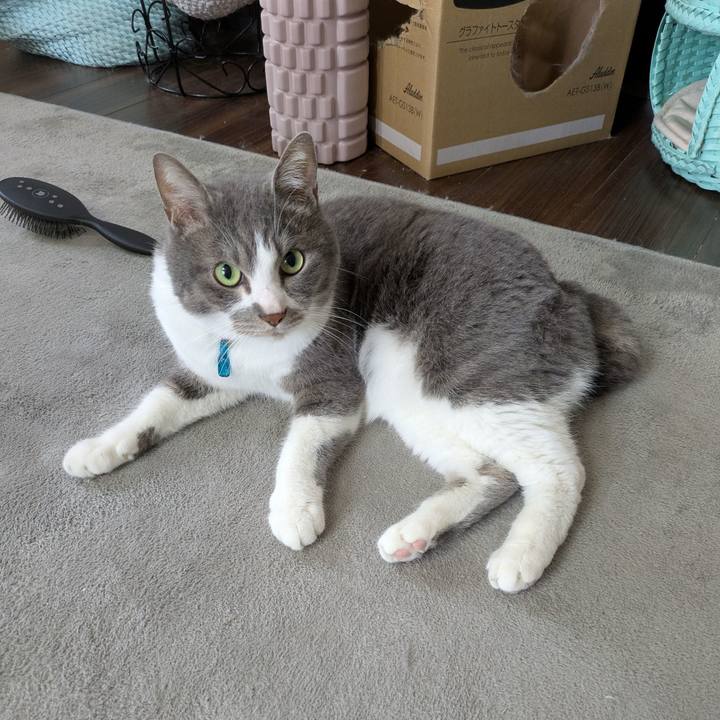 96b57a22 9893 4df9 b3a8 e97538f424ae 1747702268561