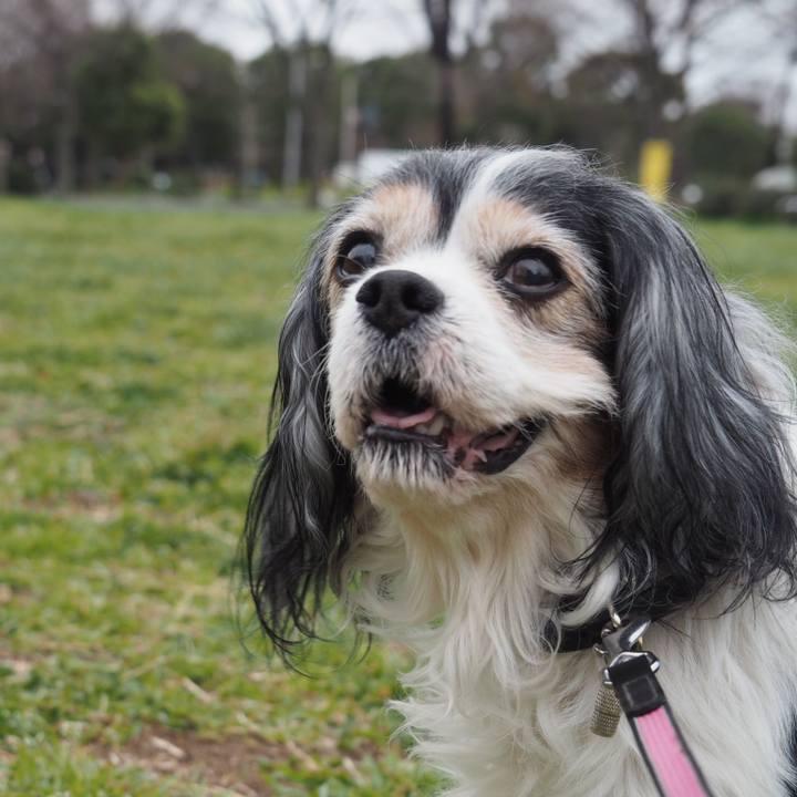 96b5854f 0e62 4beb b310 bc884d1774f0 1553346241627