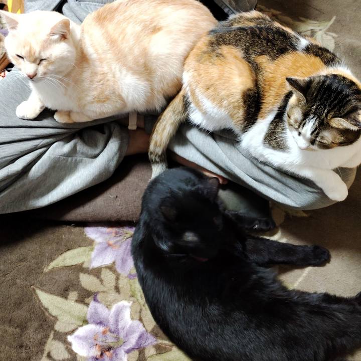 96b58a41 7835 41dc bb5d c8eea7255265 1767136892575