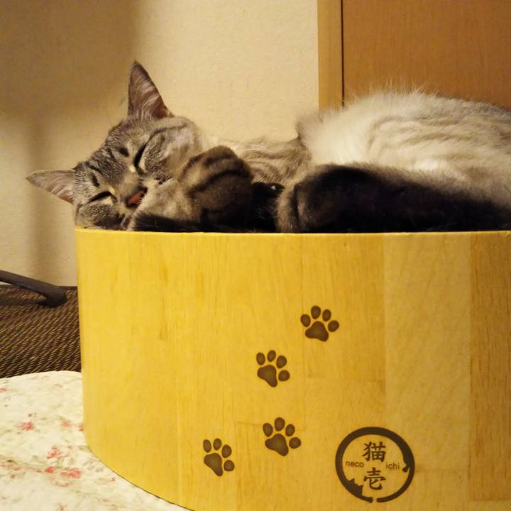 96b58e65 ae50 4834 a427 40f9fa071208 1588339327537