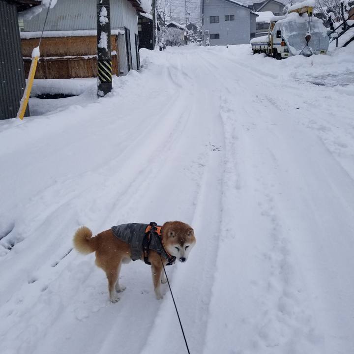 96b5b6de 56af 4684 a6c9 762ad2b7eb41 1734843123889