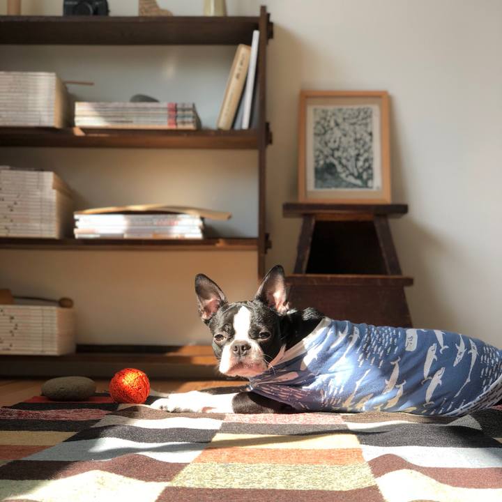 96b5c29d 95cc 4f54 a5f2 5765b7f011d3 1519348040449