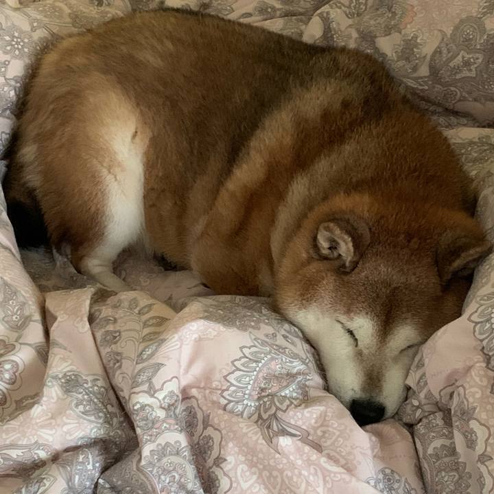 96b5e38f 5796 41c6 8428 6d2de7003a94 1575544872553