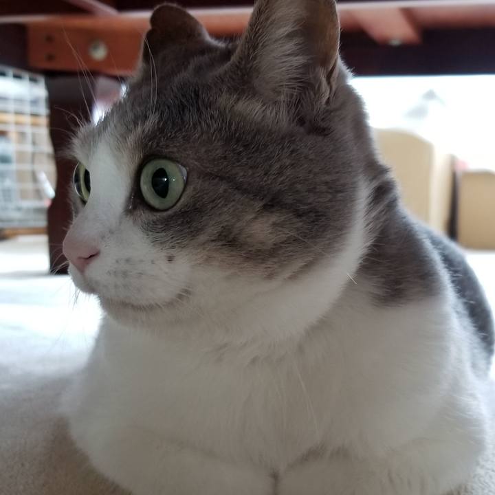 96b5ea98 548f 4746 8353 cd294194a932 1687184451331