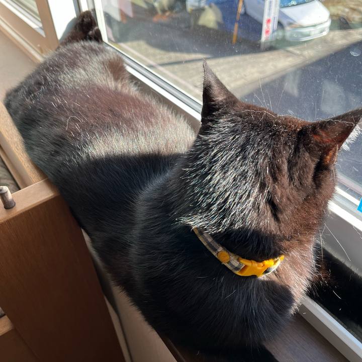 96b5edb8 9a03 46fd baef 38ed857d12ac 1669510766433