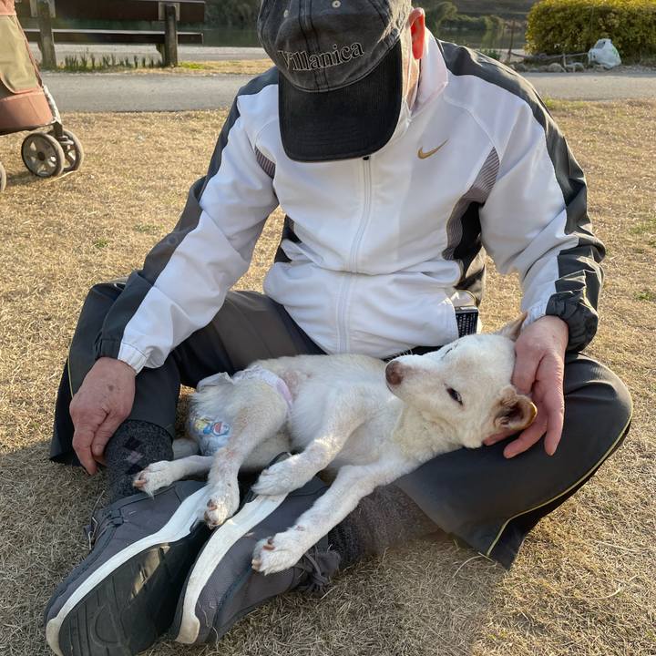 96b5f16c 682b 49c7 92a0 b198e58a3aa0 1678102271020