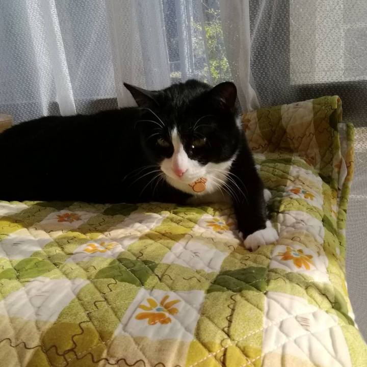 96b61e13 8089 4794 87a8 d60cb32d87fe 1556870409831