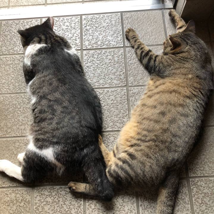 96b6365f 630a 403f bb21 c841dc2654b8 1564489328328