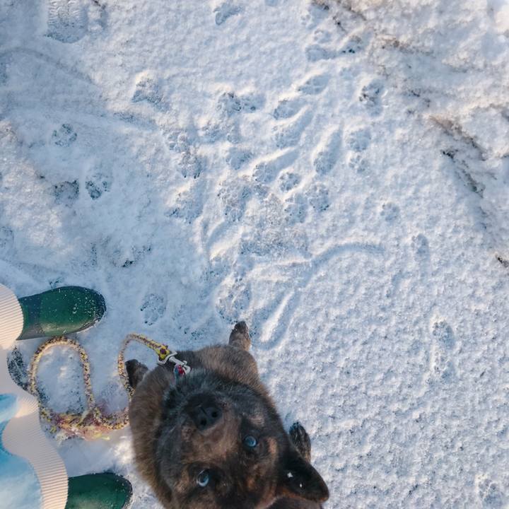 96b63829 0db5 452a 8655 1d98bb7d2a69 1519173336872