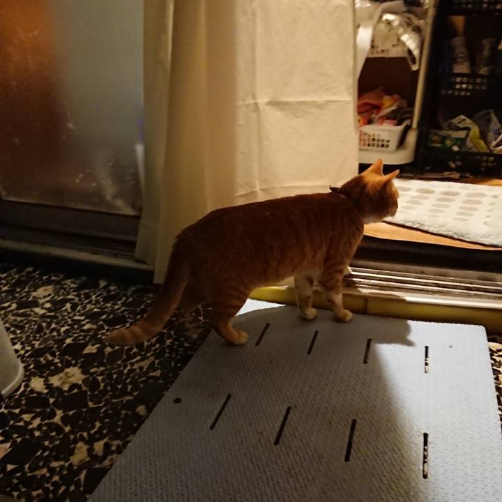 96b63fae 3687 403d b8ff ce695e843e88 1574673178801