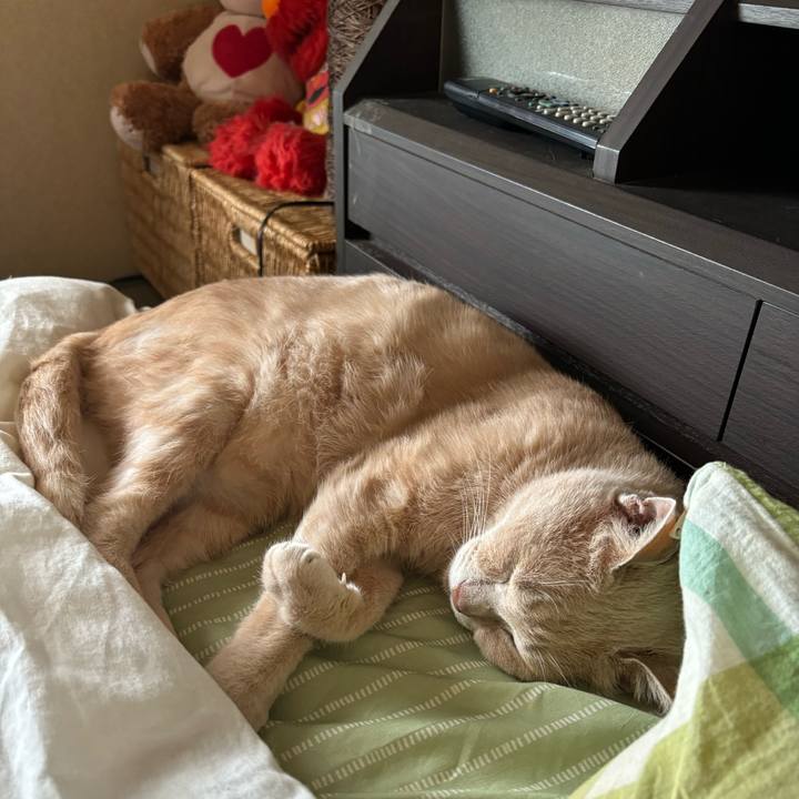 96b63fff 299f 4860 b75a 210664634795 1727841881562